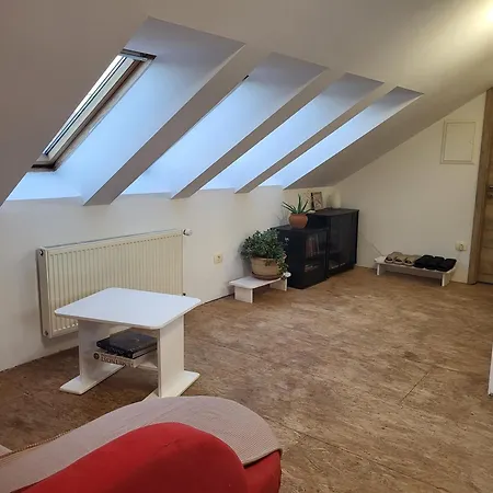 Проживание в семье Kmecka Visnja Gora